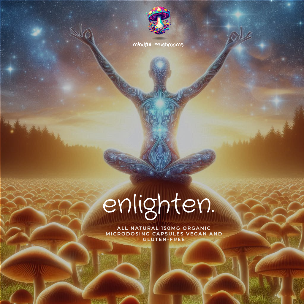 Enlighten_2