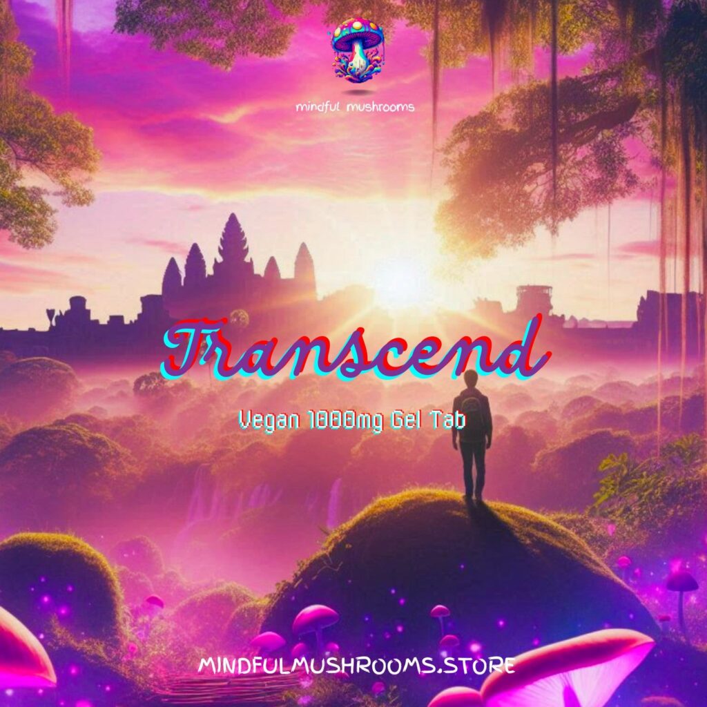 Transcend Art